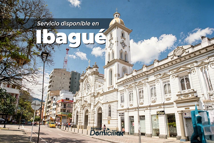 Baterias a domicilio ibague